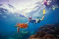 Snorkelling, Great Barrier Reef, QLD