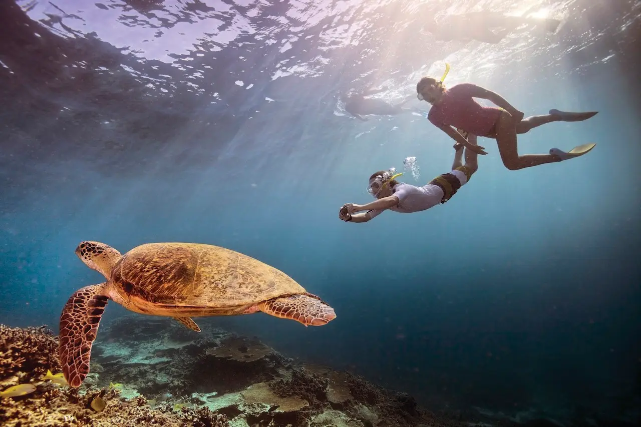 Great Barrier Reef, Queensland