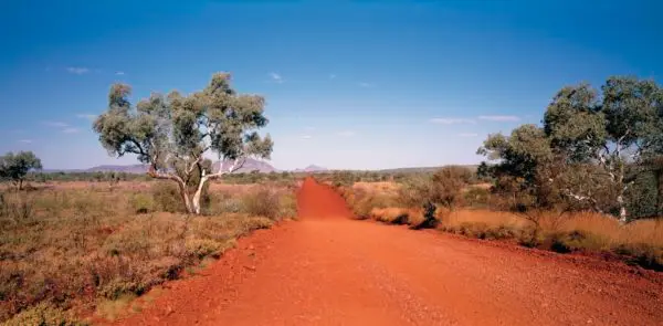 The Pilbara, Mount Bruce in distance, Karijini National Park