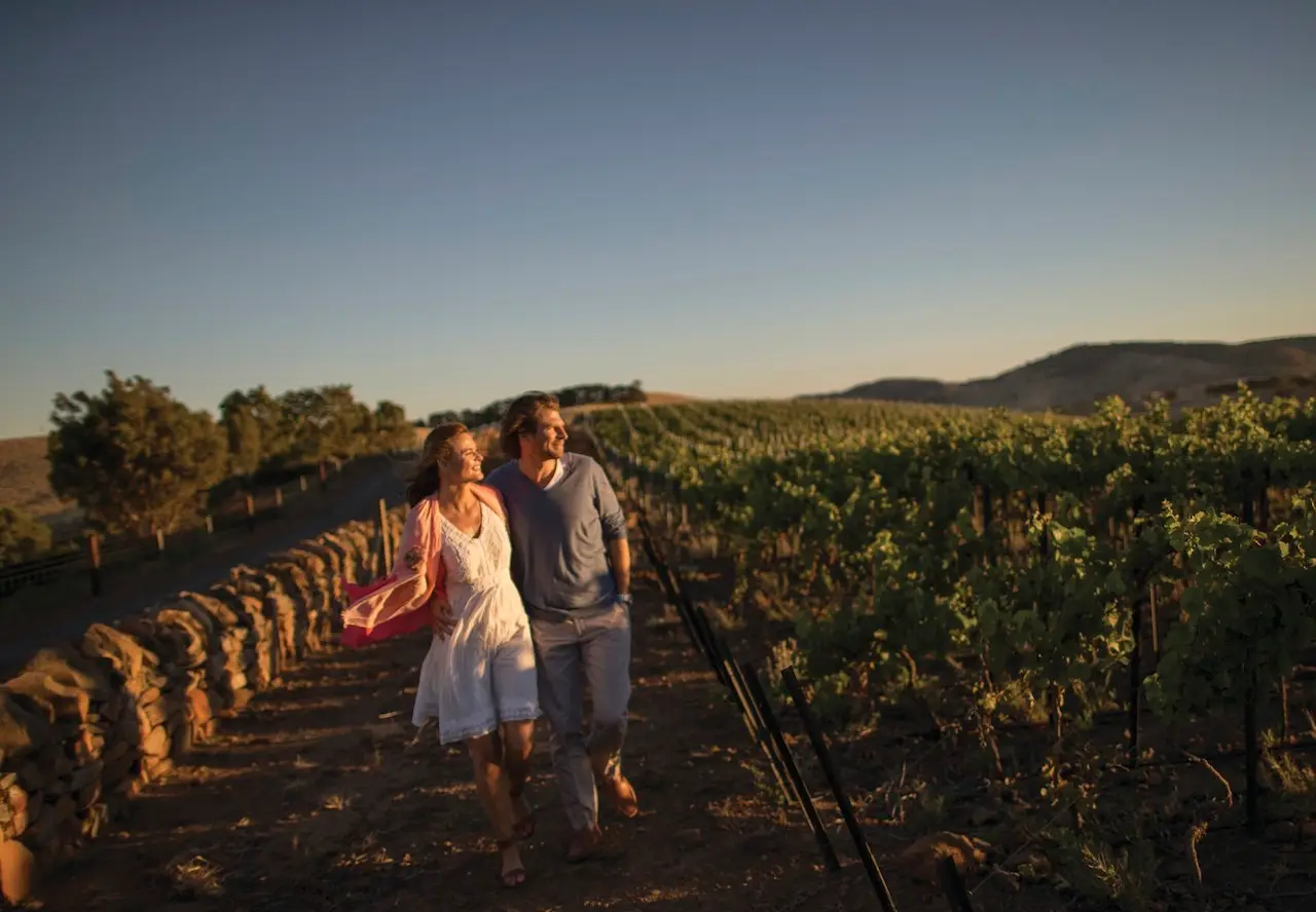 Jacobs Creek vineyards – Ultimate Winery Experiences of Australia Jacobs Creek vineyards - Ultimate Winery Experiences of Australia