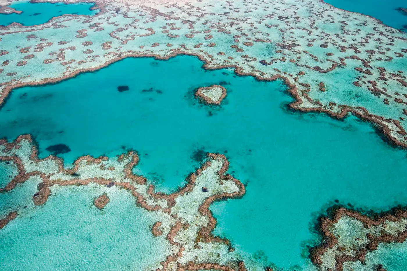 Great Barrier Reef, Queensland South Coast; Lake Illawarra;